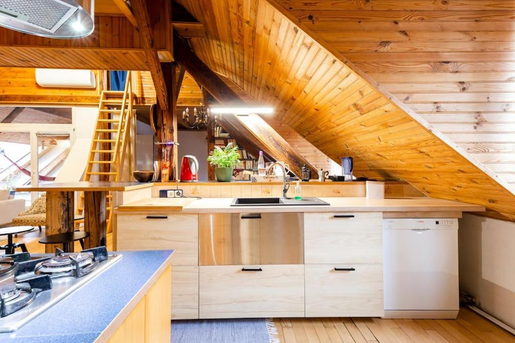 Rooftop 180M2 Loft With Private Sauna, براتسيلافا المظهر الخارجي الصورة