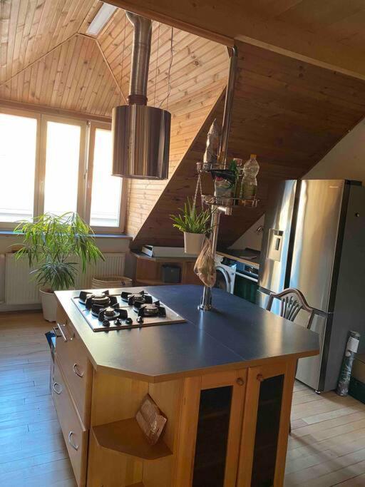 Rooftop 180M2 Loft With Private Sauna, براتسيلافا المظهر الخارجي الصورة